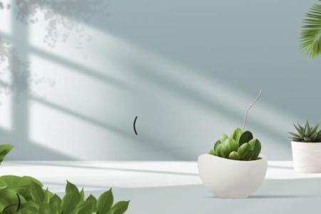 妈祖灵签21解签