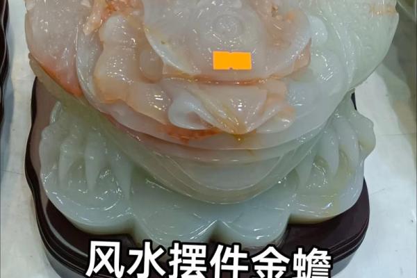 招财金蝉摆放风水常识