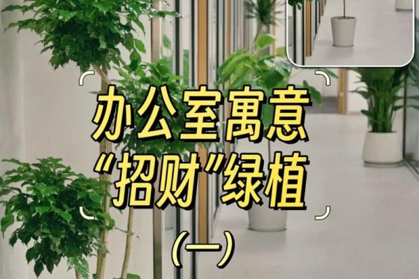 办公风水及住家风水的精妙之处