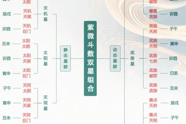 紫微斗数基础探讨 紫微斗数基础知识教学？