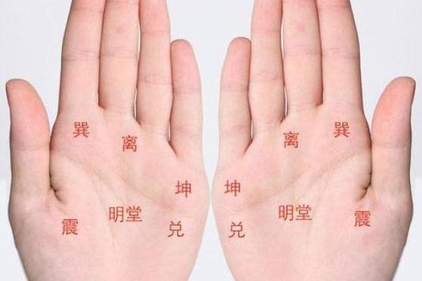 梦到男童给自己看手纹算命