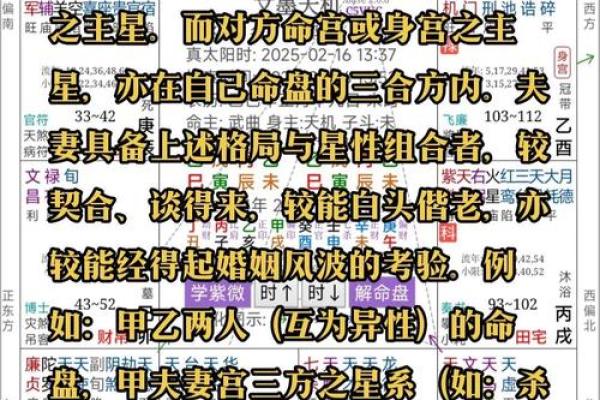 紫薇斗数软件破解