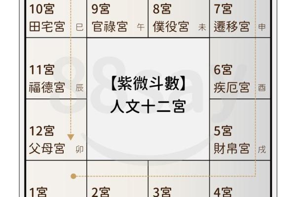 如何学习紫薇星盘