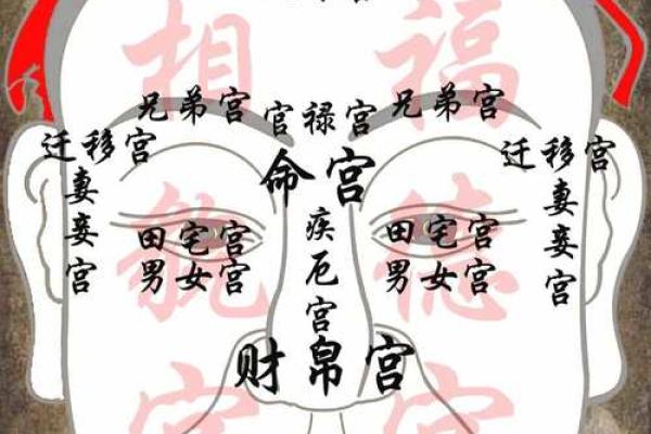面相算命图解十二宫之:命宫 面相算命图解十二宫之:命宫