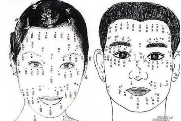 眼皮看面相算命 眼皮看面相算命