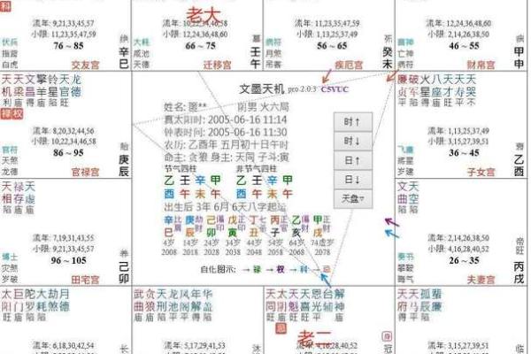 灵动紫薇斗数排盘 灵动紫薇斗数排盘