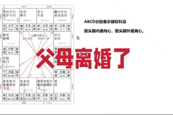 紫薇斗数与父母 紫薇斗数与父母