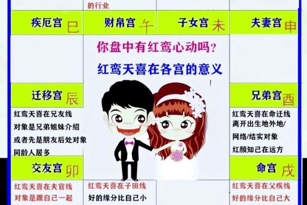 紫微斗数之基本术语 紫微斗数之基本术语