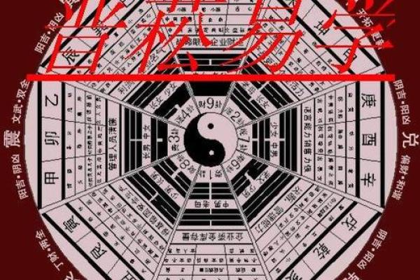 白龙八字 白龙八字