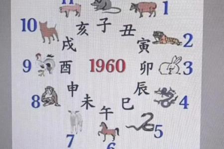 大家找紫薇斗数算命网