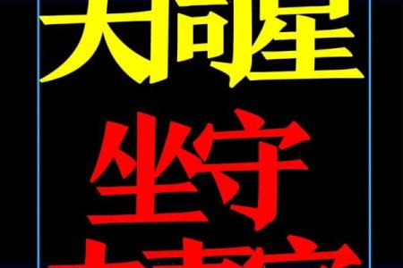 紫微斗数之夫妻宫与诸星,天机星在夫妻宫是什么意思？