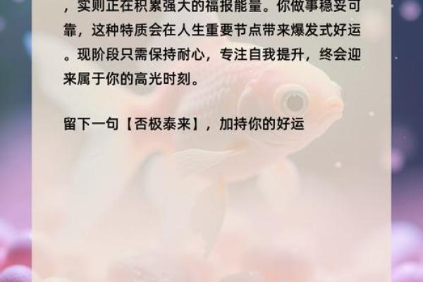 测试：现在的你，身上有多少好运气？