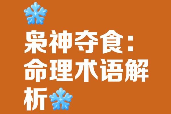 食神是什么意思在八字里
