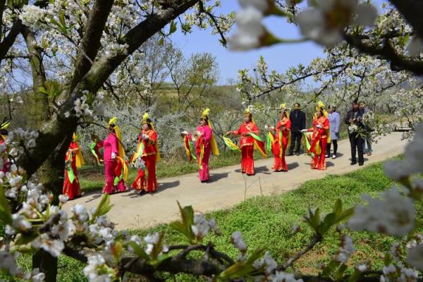 内乡余关镇报事滩算命 内乡余关镇报事滩算命