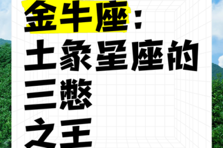 土象星座非常高冷吗
