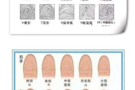 手指上的斗和簸箕代表什么 十个簸箕 簸箕和斗算命
