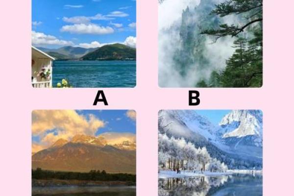 神准测试-你会被什么样的老板套牢？