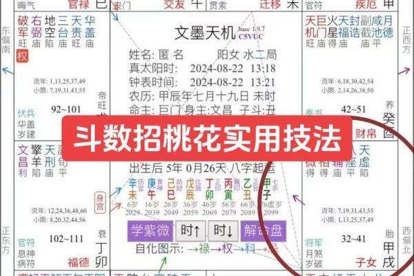 紫薇斗数要学多久
