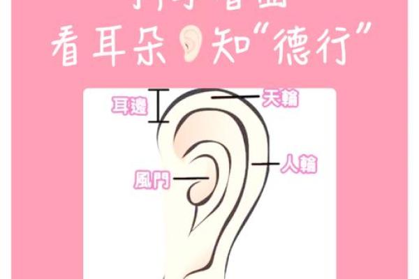 风水上耳朵有痣的人命运 风水上耳朵有痣的人命运