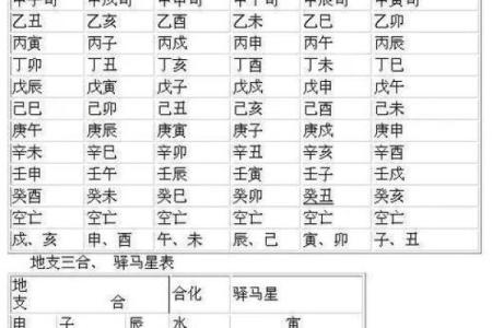 八字阳干和阴干怎么看