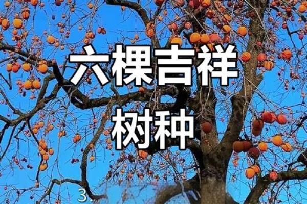 十大凶树十大吉树都是哪些风水树? 十大凶树十大吉树都是哪些风水树?