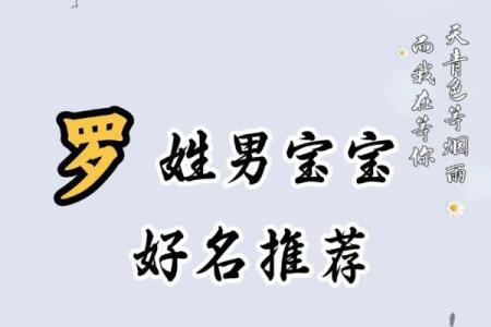 2019年6月14号卯时出生的男孩如何起名姓名
