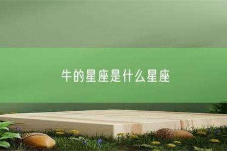 十二星座适合养的牛