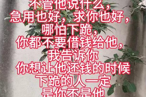 总被借钱 风水 总被借钱 风水