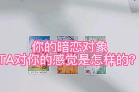 塔罗测试你对TA是来电还是爱？