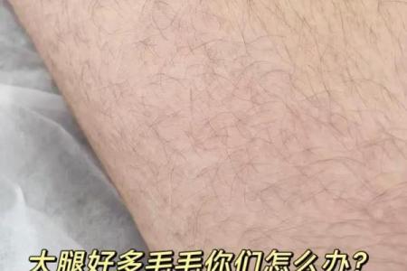 腿上有毛算命