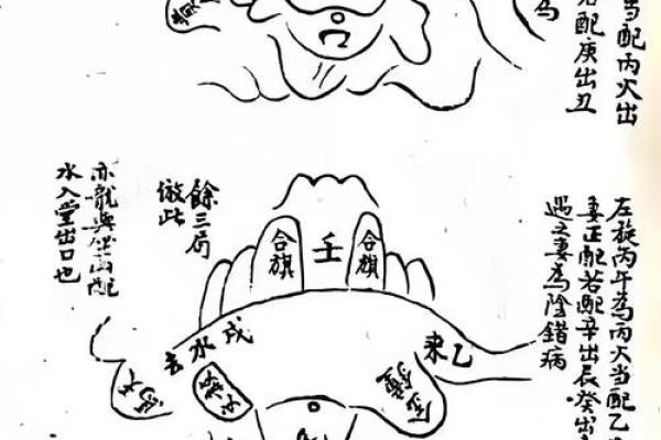 风水分性别关系?旺女风水公开 风水分性别关系?旺女风水公开