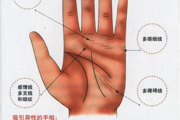 手纹算命图解【高清】 手纹算命图解【高清】