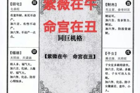 紫微斗数孤 紫微斗数孤辰在夫妻宫？