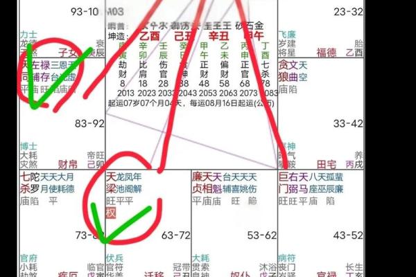 紫薇斗数流禄 紫薇斗数流禄