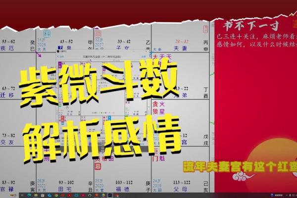 紫薇斗数流禄 紫薇斗数流禄