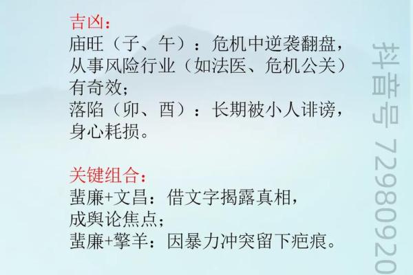 紫微斗数诸星落诸宫之:贪狼星福德宫详解 紫微斗数诸星落诸宫之:贪狼星福德宫详解