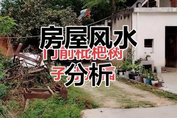 钦州风水更好的房子在那