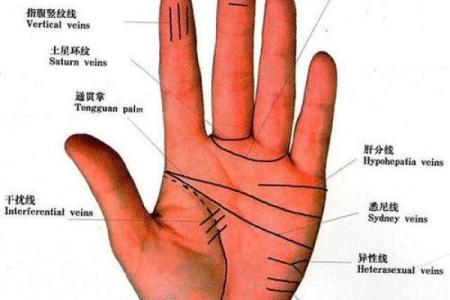 图解：手相上升线算命