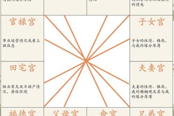 紫薇斗数双星速配 紫薇斗数双星速配