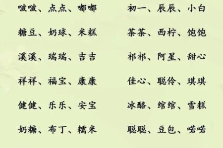 属蛇辰时出生的男孩如何取名字，适合用什么字姓名