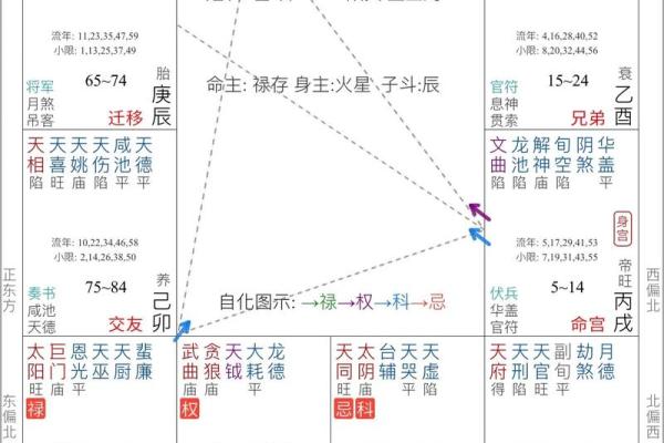 紫薇斗数禄倒 紫薇斗数禄倒