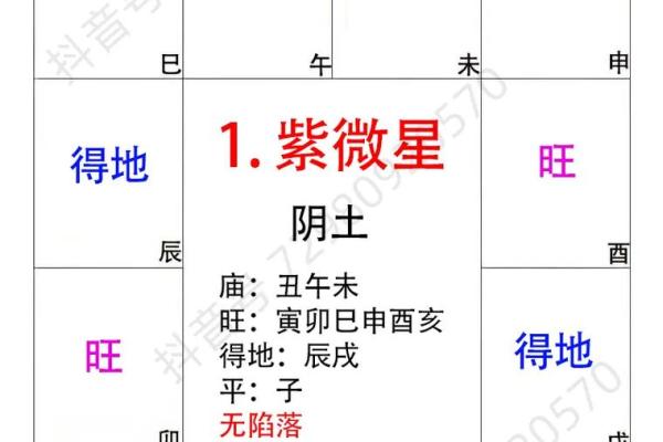 紫薇斗数卯宫对应