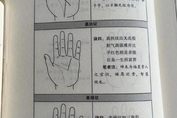 看手相算命：第一课 手相概论