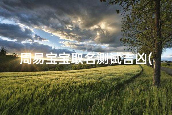 起名网免费打分测试,周易起名网免费打分测试 起名网免费打分测试,周易起名网免费打分测试