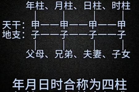 八字函授