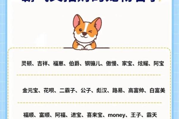三月份出生的属狗男孩如何取名字姓名