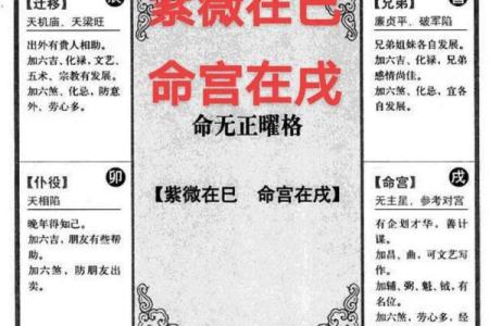 紫微斗数之疾厄宫在戌宫，是什么意思？