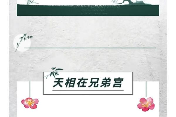 紫微斗数兄弟宫有紫薇天相