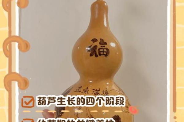 天然生长的真葫芦在风水中有什么作用和功效