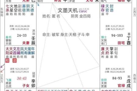 紫微斗数诸星落命宫之：长生十二神详解